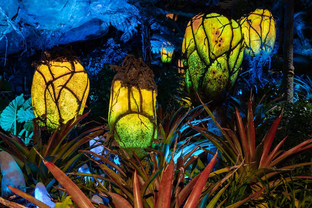 생체 발광 식물 지대 (Bioluminescent Flora Area)